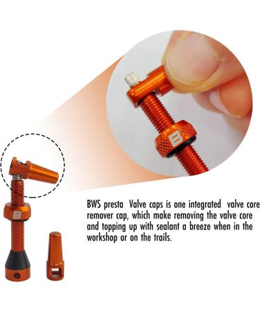 Orange 44MM BWSHLF Tubeless Presta Valve Stem Kit with Valve Core Remover Tool - Lightweight Alloy Valve Caps (Pair) - Buy Online on SooperMarket.com
