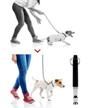 Whistle High Frequency Recall Dog Training Cat dressage education Whistle Nice - Buy Online on SooperMarket.com