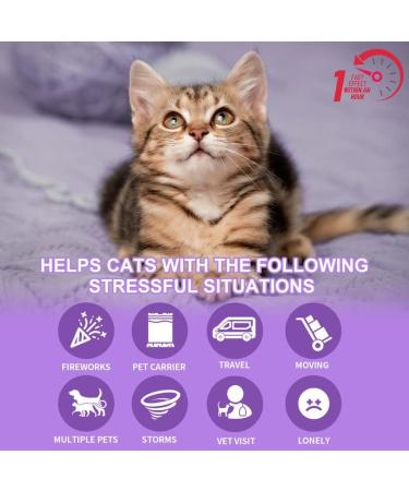 Calming Cat Collar for Anxiety Relief | Adjustable, Waterproof, Safe Pheromone Anti-Anxiety Treatment | Natural Calm for Kitten, Medium, Large Cats | Purple (2 Pack) - Buy Online on SooperMarket.com