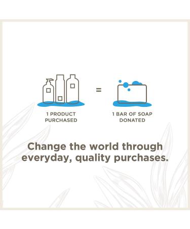 Soapbox Foaming Hand Soap - Orange Zest & Fennel, 11oz Pump Bottles (3 Ct) | Moisturizing, Vegan, Cruelty & Paraben Free Hand Wash - Buy Online on SooperMarket.com