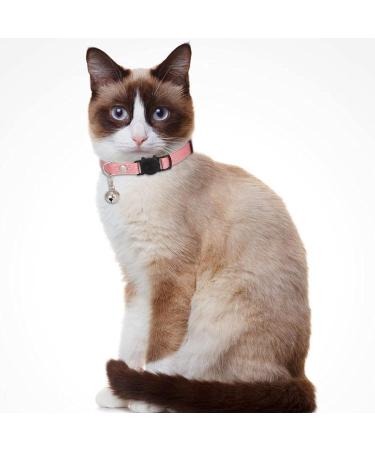 Personalized Breakaway Cat Collar with Engraved Name Tag - Adjustable Kitten Safety Collar with Bell - 7 Colors - Customizable up to 3 Lines of Text - Buy Online on SooperMarket.com