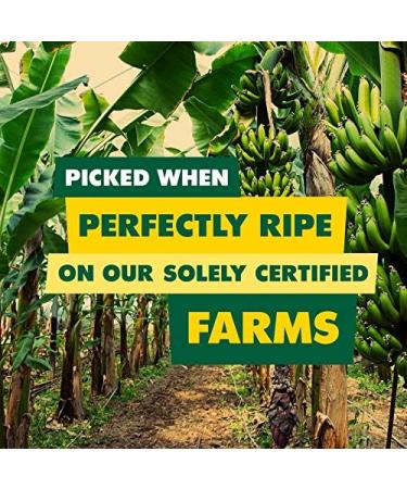 SOLELY Organic Dried Pineapple Rings 3.5oz (Pack of 2) | Vegan, Non-GMO, No Added Sugar | Independent Cuisine - Buy Online on SooperMarket.com
