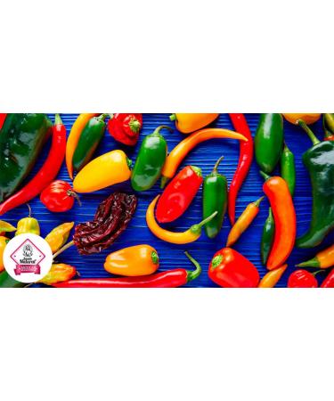 Sazon Natural Mexican Ancho Chili Powder 19.40oz - Bulk Seasonings in Reusable Shaker Jar - Buy Online on SooperMarket.com