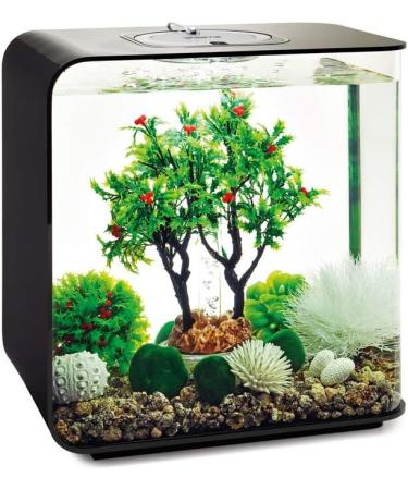 Buy Biorb 55028 Winter Decor Set 30L - Realistic Aquatic Plants Roots & Stones for Freshwater & Saltwater Aquariums - Buy Online on SooperMarket.com