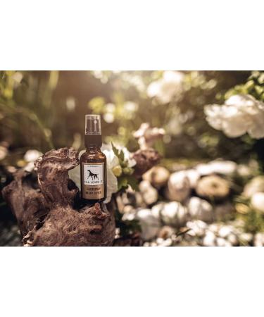 Natural Silver Spray for Dogs - Aloe Vera & Hyaluron | Lila Loves IT 50ml - Cleanses & Regenerates - Buy Online on SooperMarket.com