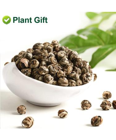 Plantgift Jasmine Dragon Pearls Tea 130g - Premium Green Tea & Oolong Blend - Best Jasmine Tea for a Soothing Experience | International Shipping - Buy Online on SooperMarket.com