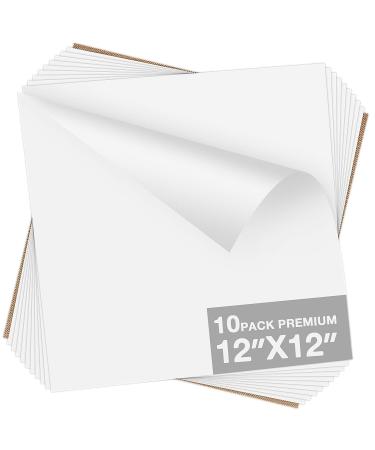 Dysania White HTV Heat Transfer Vinyl Bundle- 10 Pack 12x12Sheets HTV Vinyl Pu Iron on Vinyl for T-Shirt Easy to Cut & Weed for Heat Vinyl Design