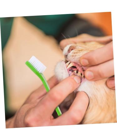BCOATH 10pcs Puppy for Cat Pets Small Supplies Portable Nylon Clean Tooth Pet Dual-head Dog Brush - Buy Online on SooperMarket.com