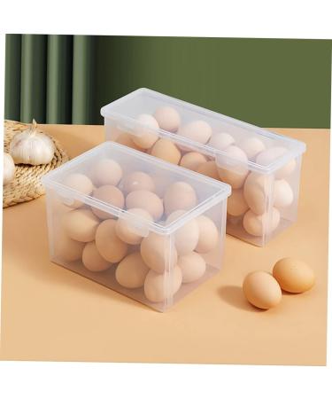 Mikinona 2pcs Box Egg Storage Box Plastic Trays for Food Refrigerator Egg Holder Fruit Vegetable re-usable - Buy Online on SooperMarket.com
