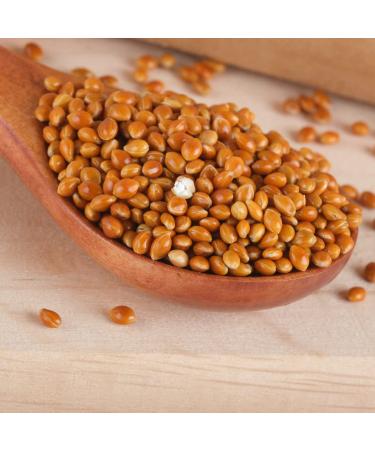 Organic Brown Millet 1.8 kg - Whole Grain Plastic-Free Eco-Friendly | s ssundclever.de - Premium Wild Millet from Germany - Buy Online on SooperMarket.com