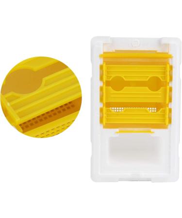 Plplaaoo Pollination Box | Professional Bee Queen Rearing & Breeding Equipment | International Shipping - Buy Online on SooperMarket.com