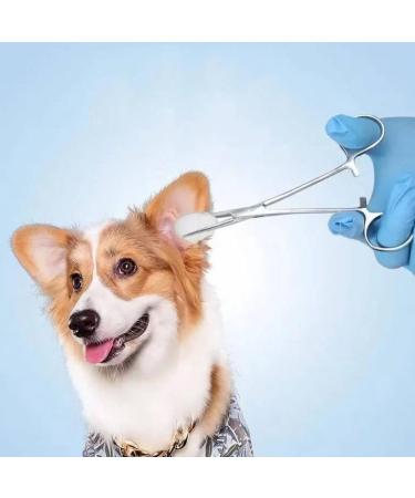 14cm Professional Straight Hemostat Hemostat Forceps Dog Grooming Scissors Piercing Forceps Tainless Steel Dog Ear Hair Puller Pet Dog Ear Hair Grooming Tweezers - Buy Online on SooperMarket.com