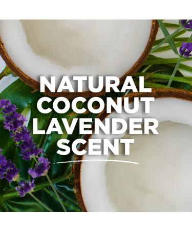 Tom's of Maine Women's Coconut Lavender Antiperspirant Deodorant 2.25 oz 3-Pack - Buy Online on SooperMarket.com