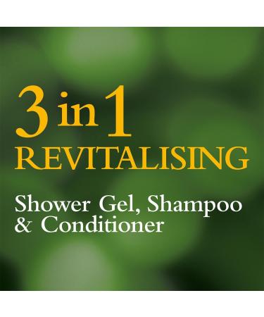 Badedas Revitalising Shower Shampoo & Conditioner with Horse Chestnut Extract - 200ml | International Shipping - Buy Online on SooperMarket.com