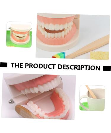 Shop Minkissy 3 Sets Early Education Tooth Toys for Toddlers - Montessori Standard Reusable Kids' Dental Learning Toys - Buy Online on SooperMarket.com