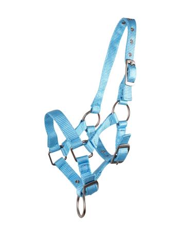 QHP foal halter foal nylon halter 4 foal sizes 6 colours (pony foal light blue) pony foal light blue