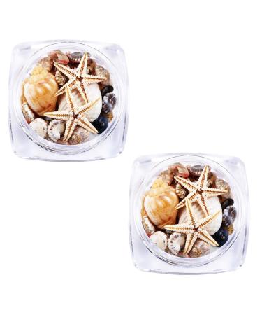 2 Boxes 3d Natural Nail Art Decoration Mini Conch Shells Starfish Sea Beach Ornaments Manicure Tools for Diy
