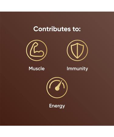 Naturya Organic Cacao Maca Overnight Oats - Gluten-Free with Hemp Protein Rich in Magnesium Vegan No Added Sugar - 600g - Buy Online on SooperMarket.com