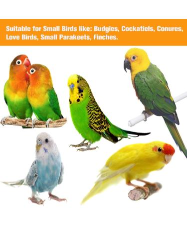 Yorgewd 8-Pack Bird Toys Parrots Cage Toys Hanging Swing Shredding Chewing Perches Parrot Toy Parrot Bite Toy for Budgie Cockatiels Conures Finches Small Parakeets - Buy Online on SooperMarket.com