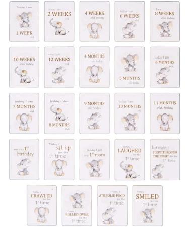 Cute Baby Elephant Grey Milestone Cards Set of 24 for Newborns | Perfect Baby Shower Gift Idea - Buy Online on SooperMarket.com