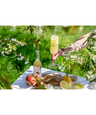 Luscombe Organic Apple Juice (12x27cl) - Natural Ingredients, No Added Sugar, Vegan & Gluten Free - Rich in Vitamin C - Buy Online on SooperMarket.com