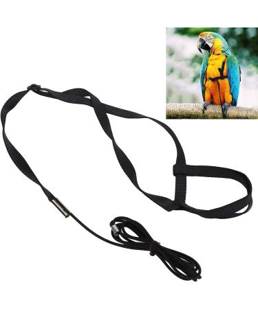Buy Adjustable Bird Dishes & Leash for Parrots - PAPPAGIES-ACHRINE - Perfect for Gray Cockatoos & Black Cockatoos - International Shipping Available - Buy Online on SooperMarket.com