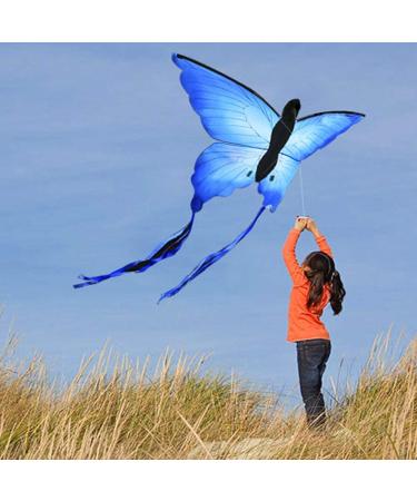 HENGDA Butterfly Kite for Kids & Adults - Outdoor Single Line Kite with Flying Tools - Buy Online on SooperMarket.com