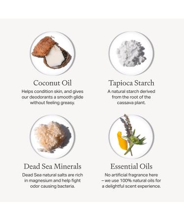 Each & Every All Natural Deodorant for Women & Men - Sensitive Skin Plant-Based Baking Soda & Aluminum-Free Deodorant - Long Lasting 24 Hr Odor Control - Cedar & Vanilla Travel Size (3 Pack 2.5oz) Cedar & Vanilla 3 Count (Pack of 1) - Buy Online on SooperMarket.com