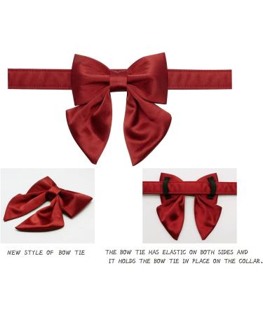Lionet Paws Bowtie Dog Halison - Comfortable Silk Collar with Removable Fly for Medium Dogs (Neck 34-55cm) - Red - 1 Pack - Buy Online on SooperMarket.com