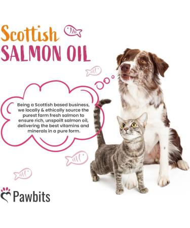 Pawbits 1 Litre Scottish Salmon Oil For Cats & Dogs - Natural Omega 3+6+9 Healthy Coat & Immune System Fish Oil 1 l (Pack of 1) - Buy Online on SooperMarket.com