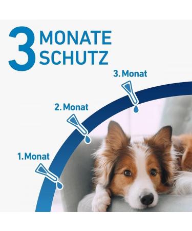 Buy Frontline Spot On Dog - Effective Flea & Tick Treatment | Fast International Shipping - Buy Online on SooperMarket.com