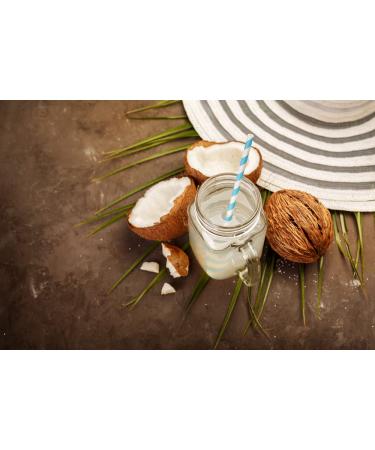 Buy Mynatura Organic Coconut Milk Powder (2x1kg) - Perfect for Cooking Baking & Desserts | Premium Coconut Nutrition - Buy Online on SooperMarket.com