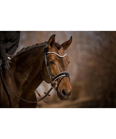 Horsecode Bridle Moonlight Diamond W Warmblood