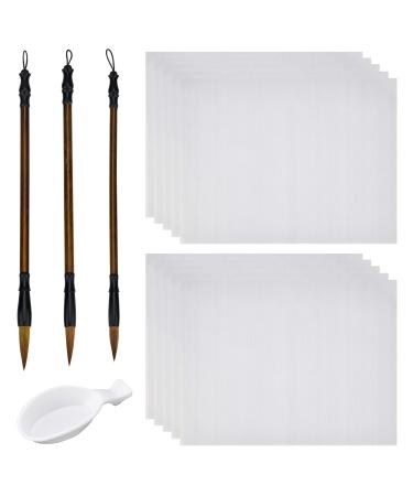 PH PandaHall 14pcs No Ink Chinese Calligraphy Set  Reusable Water Writing Cloth Paper  Chinese Traditional Calligraphy Brushes and Water Dish for Beginners Practice  17x13  White