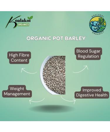 Koalakoi ORGANIC Pot Barley (4.5kg) Premium non-GMO Barley | High Fibre Content | Great For Blood Sugar Regulation and Weight Management (4.5kg) - Buy Online on SooperMarket.com