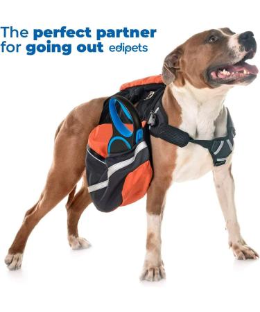 Edipets Retractable Dog Leash - 5m Flexileine for Dogs up to 50kg | Extendable & Inserable Walking Band - Buy Online on SooperMarket.com