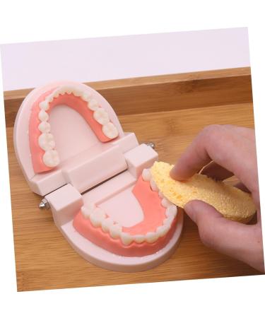 Frcolor Early Education Tooth Brushing Toy Set - Fun Children's Educational Toys for Teething & Dental Hygiene - Buy Online on SooperMarket.com