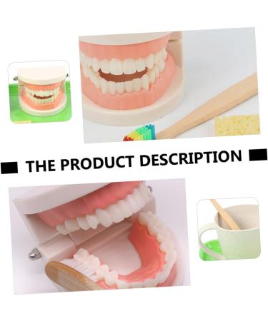 Frcolor Early Education Tooth Brushing Toy Set - Fun Children's Educational Toys for Teething & Dental Hygiene - Buy Online on SooperMarket.com