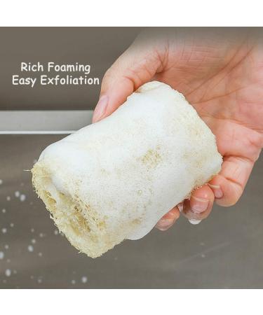 Spclsim Bath Brush Set - Natural Loofah Shower Brush and Body Scrubber for Men and Women - Gentle Exfoliating and Circulation Boost - Buy Online on SooperMarket.com