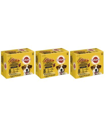 Pedigree Multipack-Different flavors (3x12x100g adult poultry selection 4 varieties in sauce with chicken turkey poultry duck) Adult poultry selection 4 varieties in sauce with chicken turkey poultry duck 3.6 kg (1 Pack)