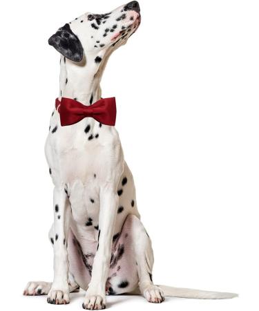 Lionet Paws XL Dog Collar with Removable Fly - Comfortable Silk Christmas Collar for Large Dogs (40-66cm) - Red 1 Pack - Buy Online on SooperMarket.com