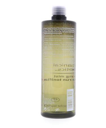 Buy Aveda BB Toning Mist 16.9 Oz - Shop Internationally for Premium Hair Care - Buy Online on SooperMarket.com
