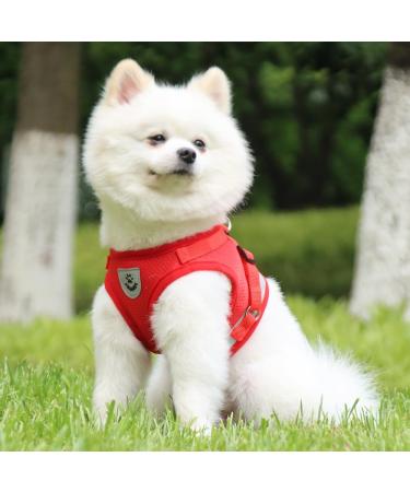 LOOK ANDE HOUSE Cauling Small Dog & Cat Dishes with Leash - Reflective Soft Padded Air-Mesh Dishes for Puppies & Small Dogs (S: Chest 29-33cm) - Red - Buy Online on SooperMarket.com