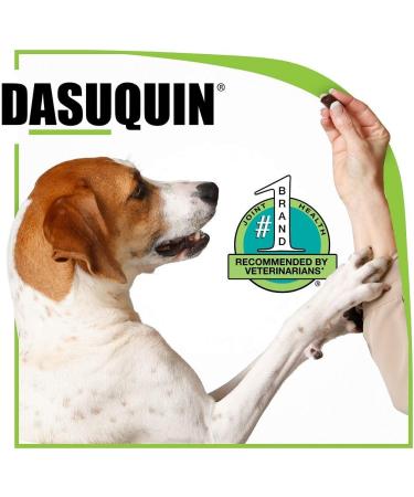 Nutramax Dasuquin with MSM Chewables for Large Dogs - 150 Count - Buy Online on SooperMarket.com