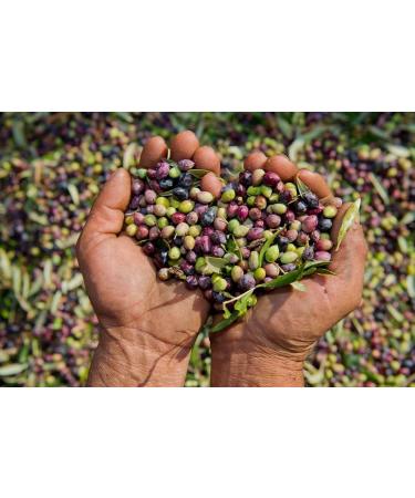 Mani Organic Pitted Kalamata & Green Olives Al Naturale 175 g - Buy Online on SooperMarket.com