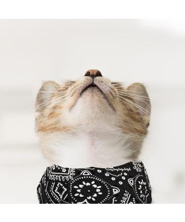 Buy Taozoey Dog Bandana Scarf - 3 PCs Triangle Neckerchief for Small & Medium Pets | Stylish Dog Accessories - Buy Online on SooperMarket.com