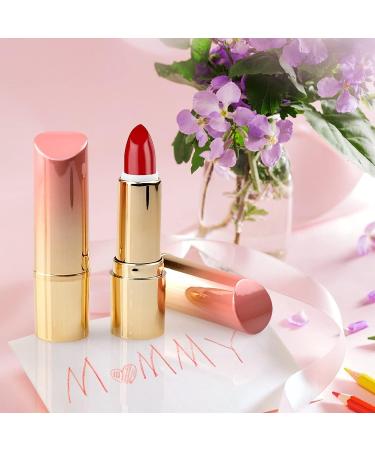 5-Piece 3.5g Gradient Pink Lipstick Tubes - Refillable DIY Lip Balm Containers - Buy Online on SooperMarket.com