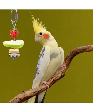 QBLEEV Stainless Steel Bird Food Holder - Parrot Fruit & Vegetable Stick Foraging Toy & Treat Skewer - Buy Online on SooperMarket.com