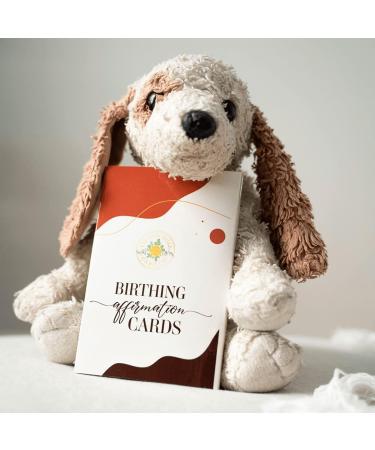 Premium Birthing Affirmation Cards - 24 Inspirational Cards for Pregnant Moms | Perfect Baby Shower Gifts & Labor Support - Buy Online on SooperMarket.com