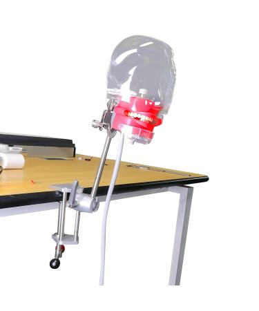Dental Teaching Simulator Manikin Phantom Head Model Plastic Educational Teeth Model Fix on (Table Type)